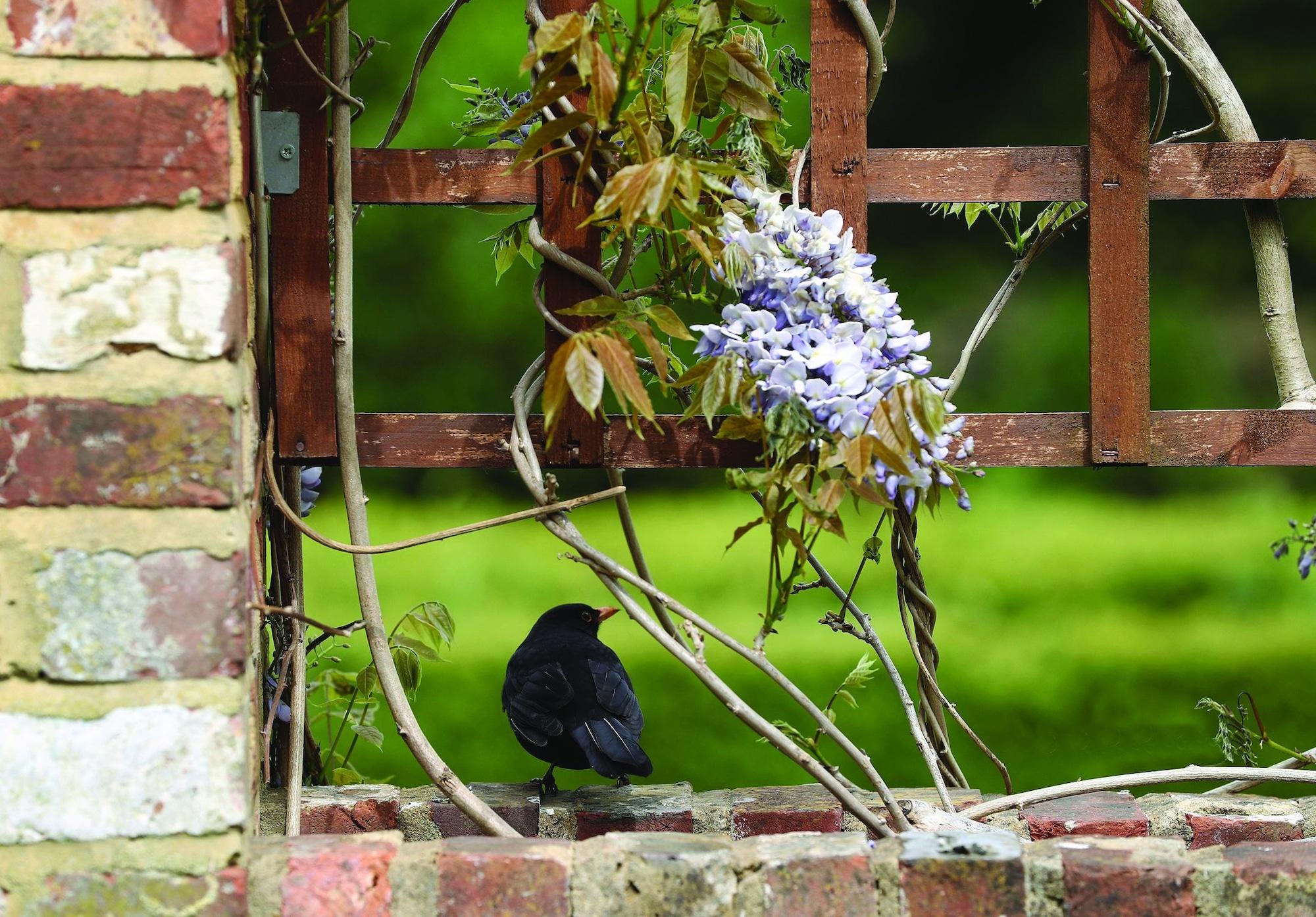 Langshott Manor - Luxury Gatwick Hotel